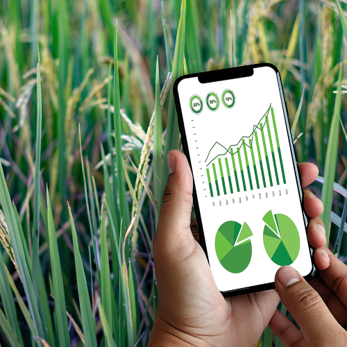 Nông Nghiệp Thông Minh: Giải Pháp Tối Ưu Cho Nền Sản Xuất Bền Vững